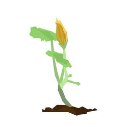 Small graphic of a squash flower with two green leaves on a small patch of dark brown ground. 